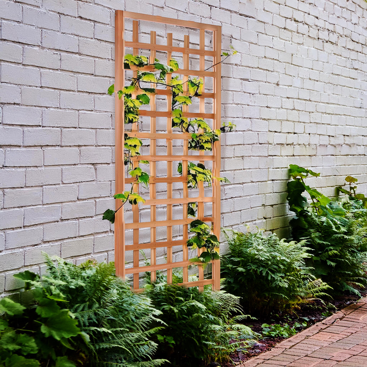 Cedar Trellis - Privacy Screen