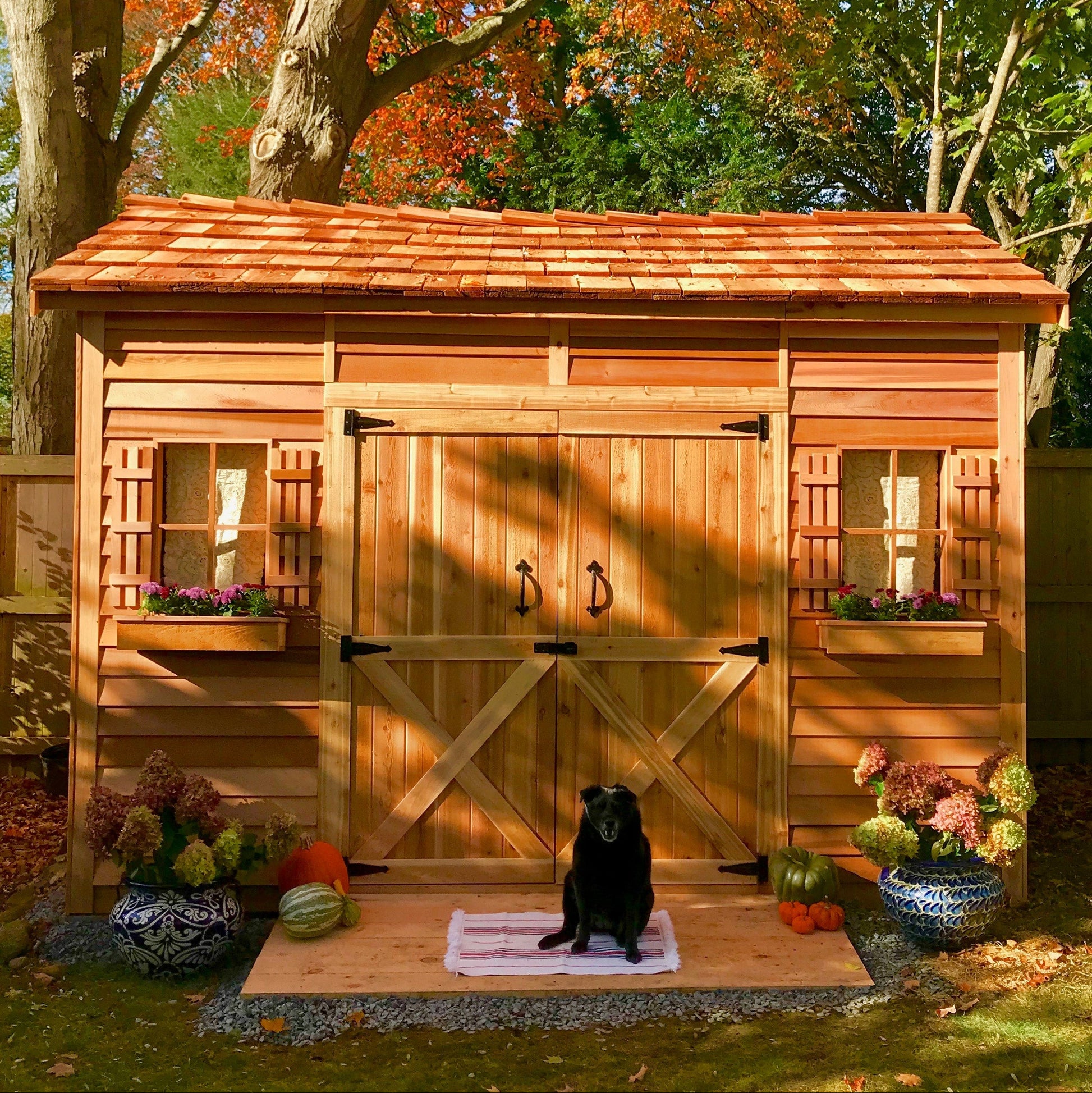 longhouse cedar shed with patio addition