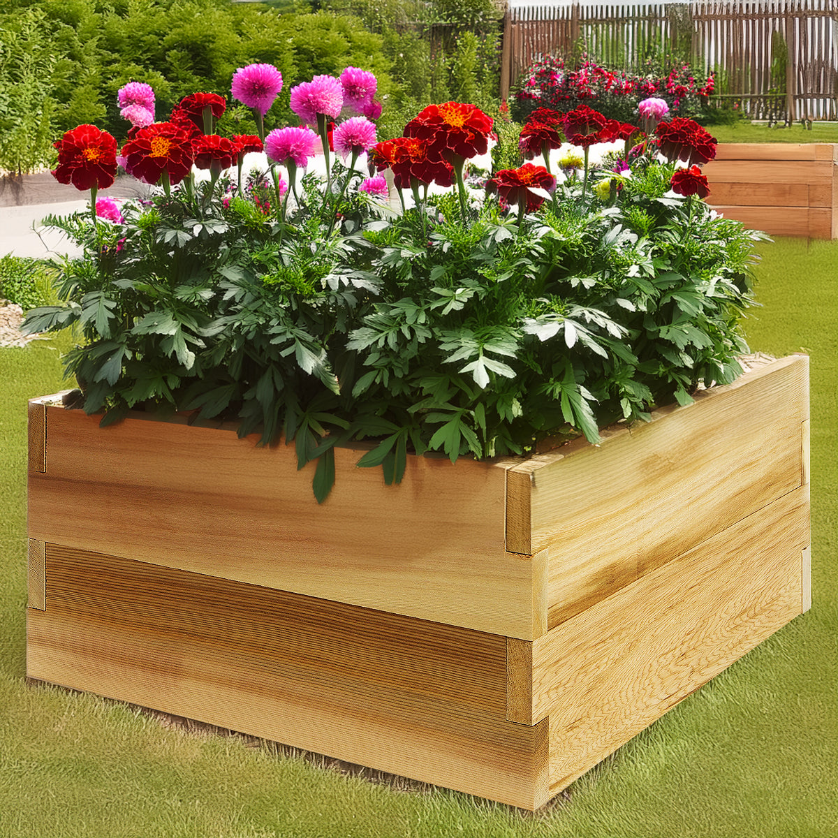 Cedar 2-ft x 2-ft Premium Cedar Raised Garden Box Kit