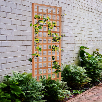 Cedar Trellis - Privacy Screen