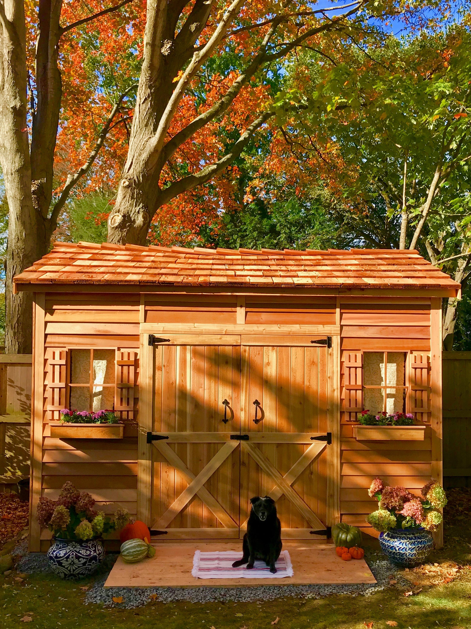 longhouse cedar shed with patio addition