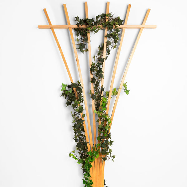 Fan Trellis, Red Cedar Garden Fan Trellis